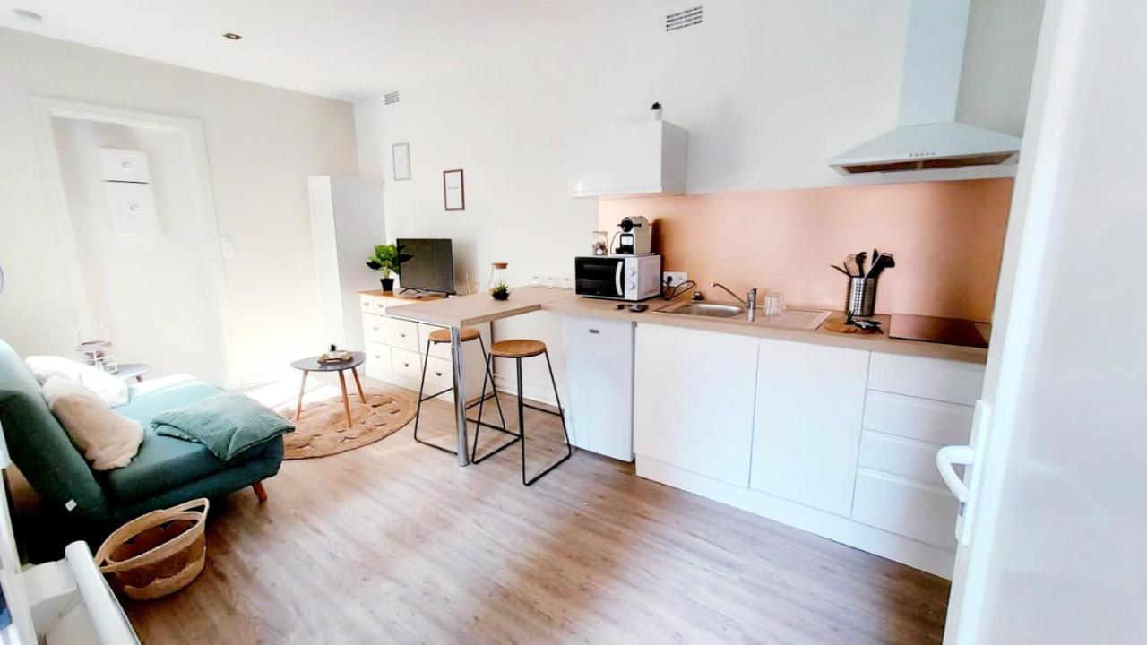 Cosy Yucca - 1Ch - Quartier Des Halles & Parking Pau Eksteriør bilde